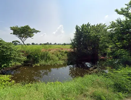 ที่ดินโฉนดเลขที่ 36558 เลขที่ดิน 100 ตำบลโคกสำโรง อำเภอโคกสำโรง จังหวัดลพบุรี เนื้อที่ประมาณ 13 ไร่ 3 งาน 15 ตารางวา