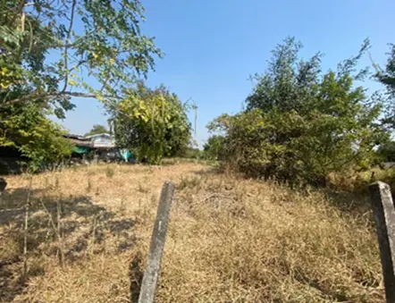 ที่ดินโฉนดเลขที่ 21736 เลขที่ดิน 44 ตำบลลำนารายณ์ อำเภอชัยบาดาล จังหวัดลพบุรี เนื้อที่ประมาณ 1 งาน พร้อมสิ่งปลูกสร้าง, ที่ดินโฉนดเลขที่ 21737 เลขที่ดิน 45 ตำบลลำนารายณ์ อำเภอชัยบาดาล จังหวัดลพบุรี เนื้อที่ประมาณ 1 งาน พร้อมสิ่งปลูกสร้าง